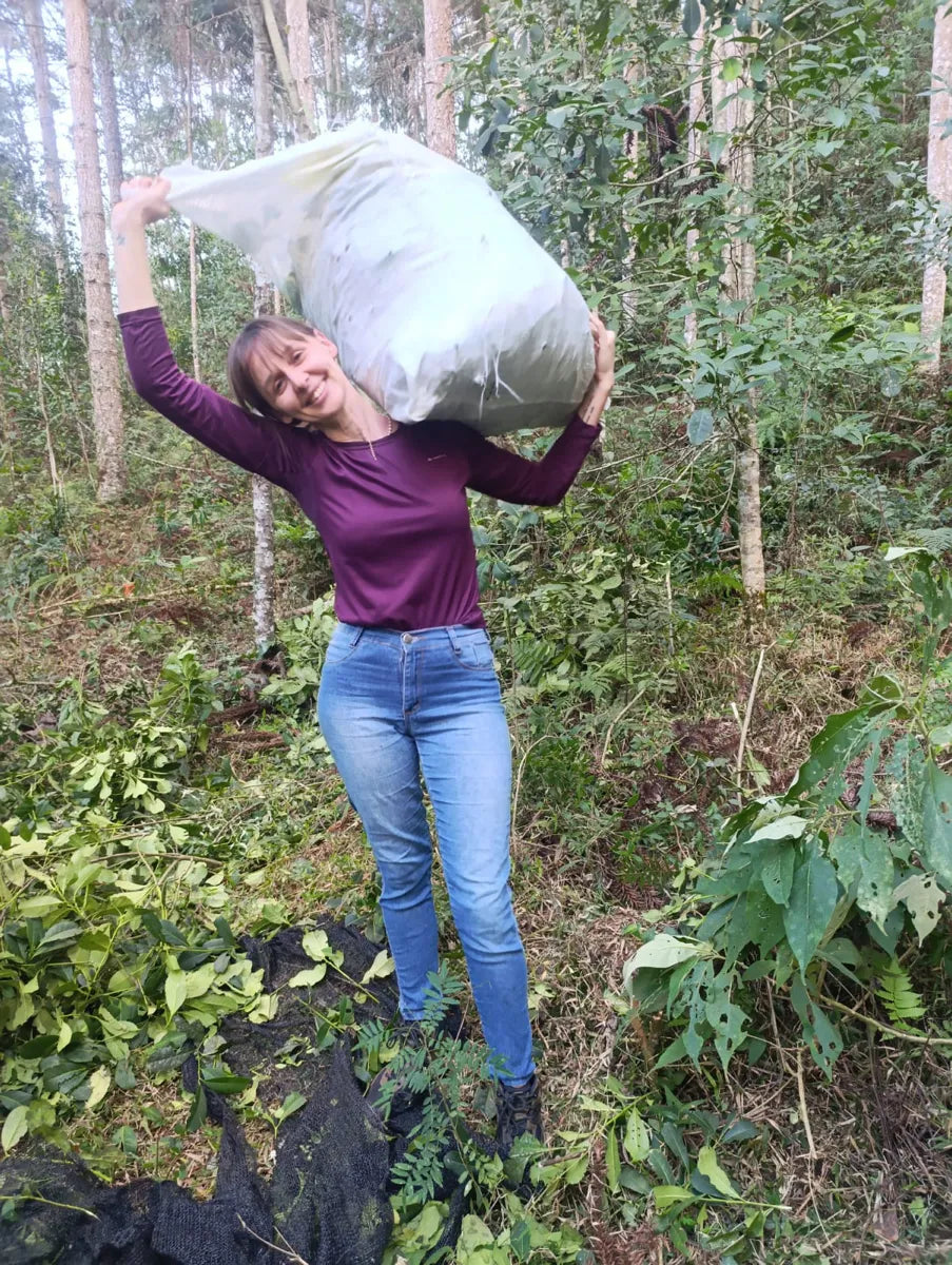 La esposa de Jeferson cargando la bolsa de yerba mate cosechada en el yerbal